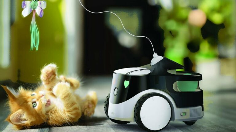 Enabot ROLA PetPal automatic pet-feeding robot keeps your best friend fed and entertained