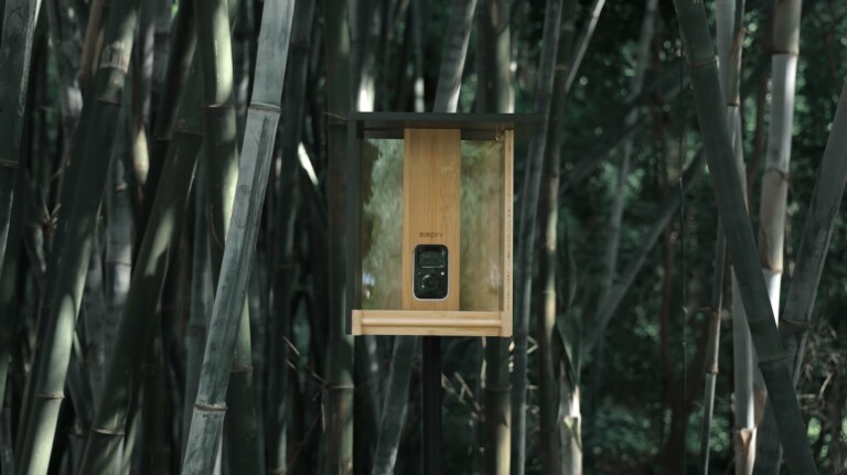 Netvue Birdfy: AI eco-friendly bamboo Bird Feeder by Birdfy on Gadget Flow