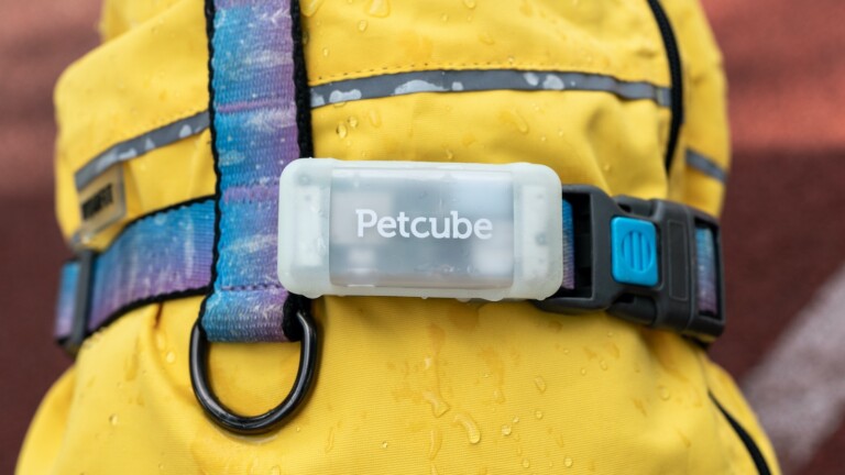 Petcube GPS Tracker LTE/4G dog collar offers live location tracking as well as alerts