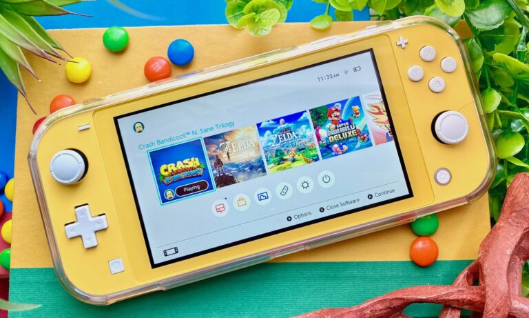 The best Nintendo Switch Lite accessories every gamer needs