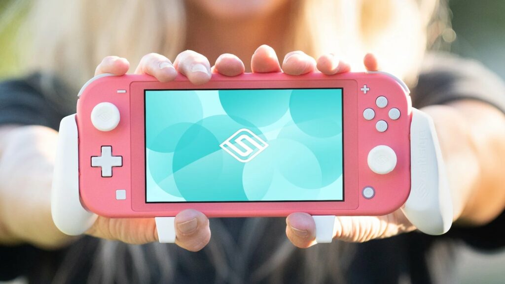 Switch Lite Accessories